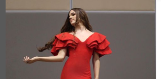 La Comadre: Bitácora de una ¿estrella fugaz?